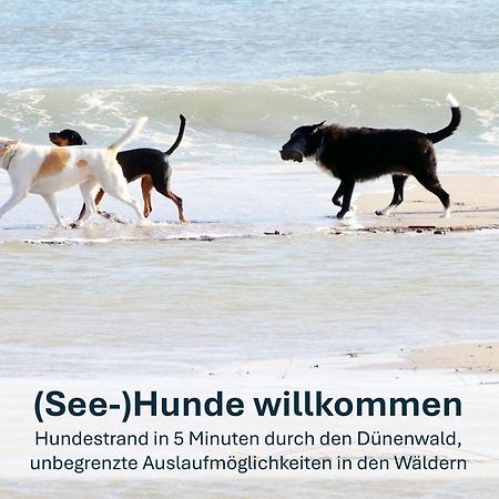 Paradies-Ambiente - Strandnah, Sauna, Kamin, Hundefreundlich 奥斯特西巴德钦诺维茨 外观 照片
