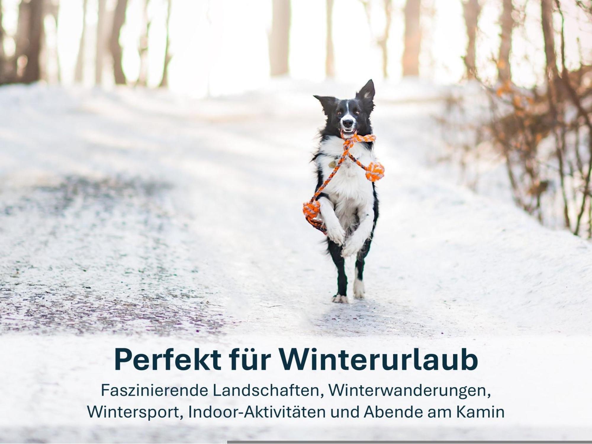 Paradies-Ambiente - Strandnah, Sauna, Kamin, Hundefreundlich 奥斯特西巴德钦诺维茨 外观 照片